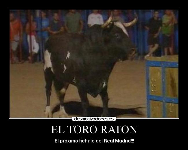 Toro Raton Imágenes y Carteles de RATON Pag. 234 | Desmotivaciones